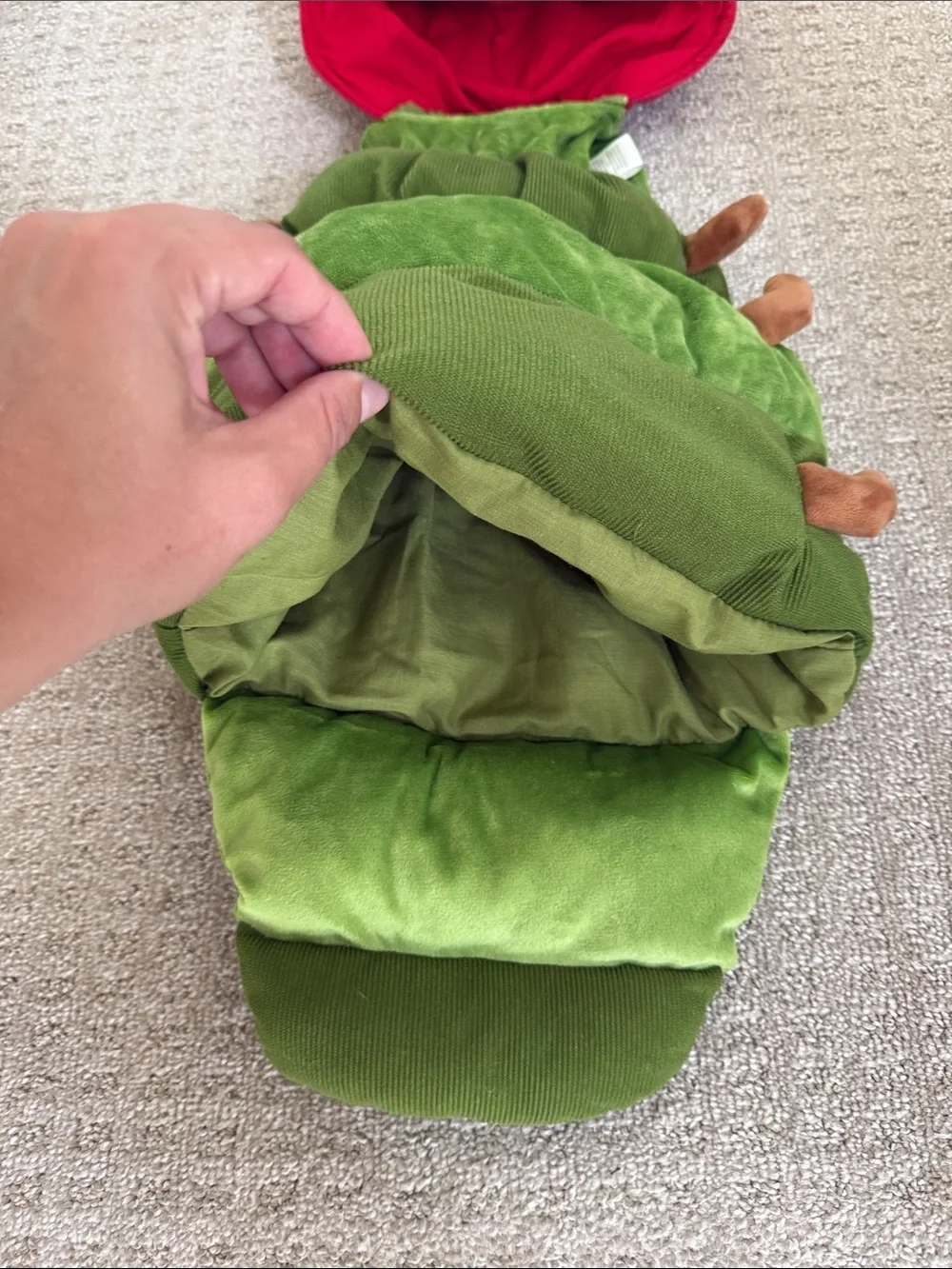Pottery Barn Kids The Very Hungry Caterpillar Costume